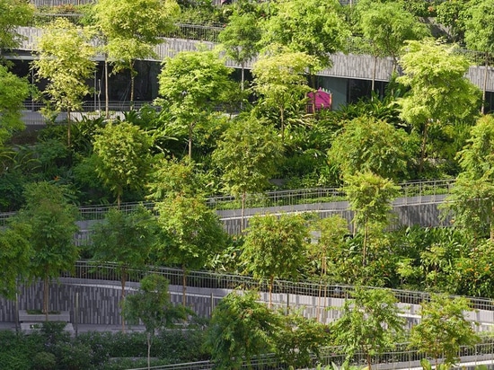 serie e moltiplicare gli architetti per completare “i terrazzi dell'oasi” bucolici a Singapore