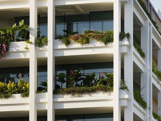 serie e moltiplicare gli architetti per completare “i terrazzi dell'oasi” bucolici a Singapore