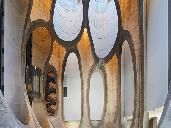 museo dello zeitz MOCAA dei heatherwick della fotografia del corvo + del hufton a Città del Capo