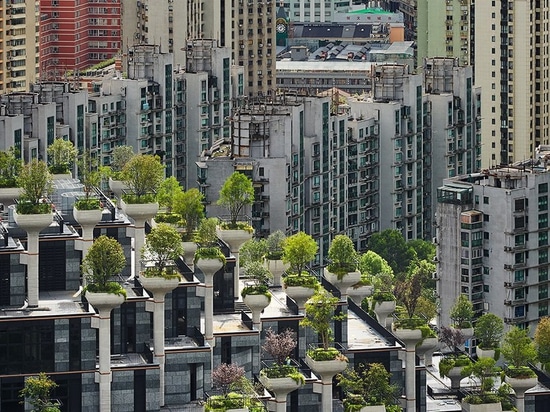 a Shanghai prende forma lo sviluppo dei '1000 alberi' ad uso misto dello studio heatherwick