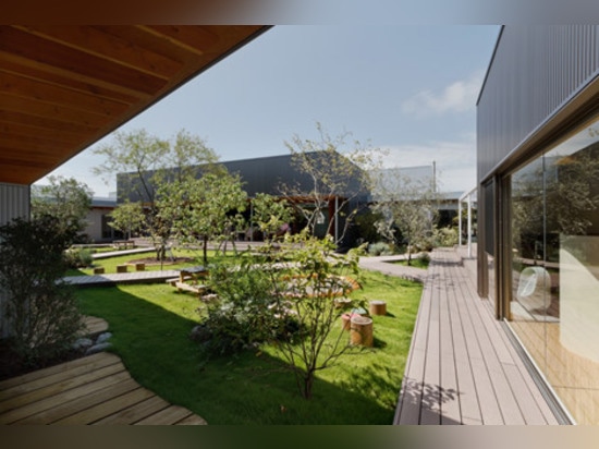 le aule Luce-riempite circondano un giardino del cortile alla scuola materna di DS nel Giappone