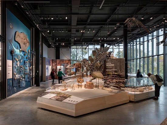 Museo Burke di storia naturale e cultura di Olson Kundig