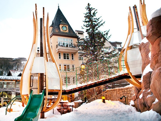 Gruppo di lavoro degli uccelli di Tres? habitat mimici dell'uccello dei nidi di legno di s in Vail, CO