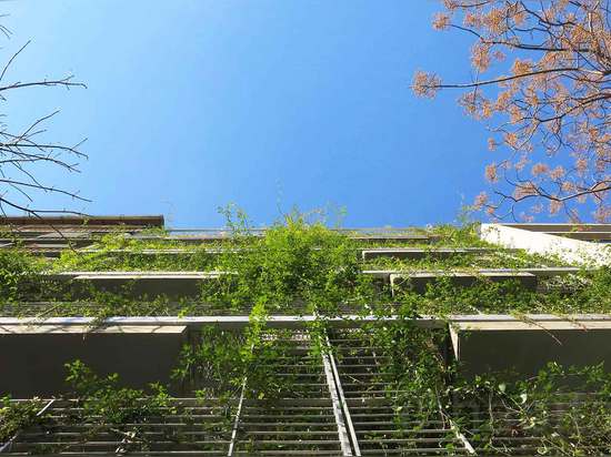 Palo Santo è un hotel fertile e ecologico spostato in 800 varietà di piante