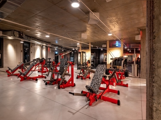 McFit Padova