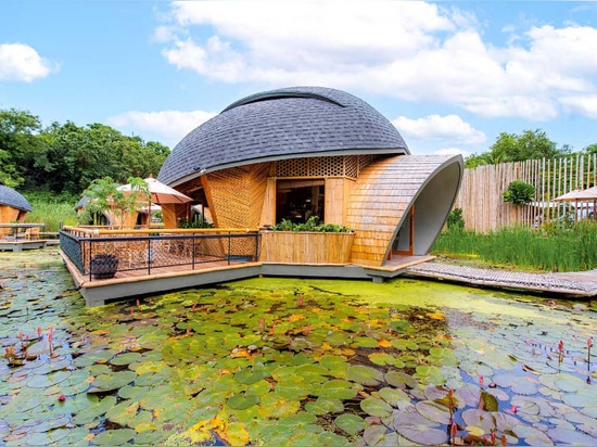 I design delle cabine ispirati alle tartarughe sono una caratteristica di questo Eco-Lodge in Thailandia