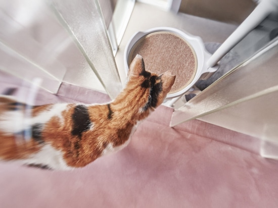 Un perfetto equilibrio di esuberanza e raffinatezza: la rubinetteria Ritmonio per The Meishan Cat House, a Taipei.