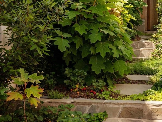 Un paesaggio moderno è stato progettato per questo cortile californiano