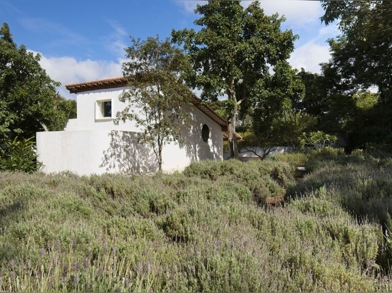 L'hotel "Casa Alecrim" è immerso tra i campi di lavanda fuori Brasilia