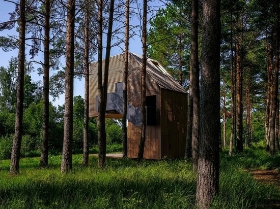 Questa casa sull'albero estone è stata progettata come punto di osservazione della foresta