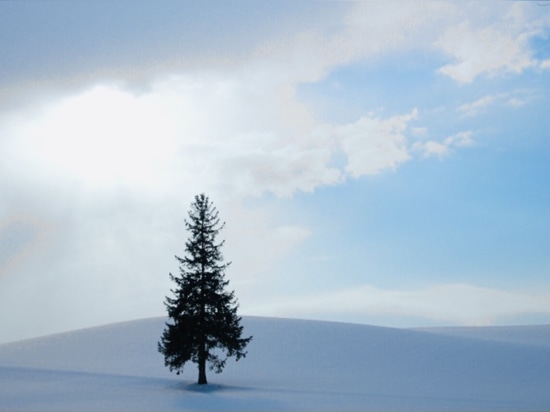 Il Natale giapponese è divertente, ma gli alberi di Natale sono bellissimi in Hokkaido.