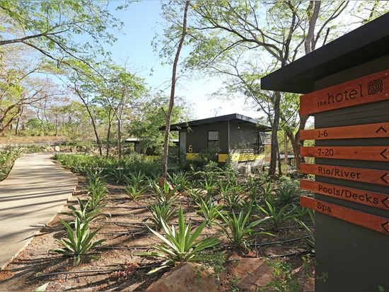 Nessun albero è stato rimosso per generare questo hotel del bungalow nel Costa Rica