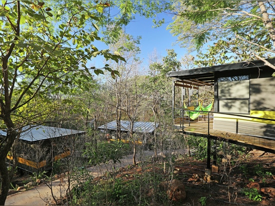 Nessun albero è stato rimosso per generare questo hotel del bungalow nel Costa Rica