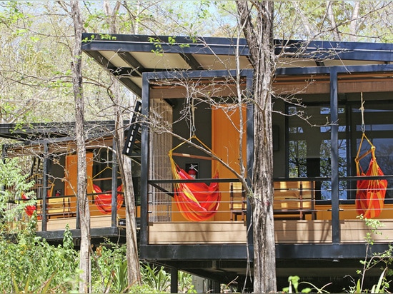 Nessun albero è stato rimosso per generare questo hotel del bungalow nel Costa Rica