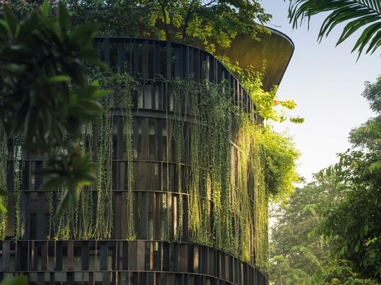 Molte piante sono state integrate nel design di questa casa a Singapore