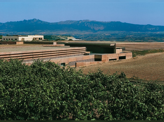 costruendo la cantina negli aiuti della collina realizzi le condizioni buone per vino di fabbricazione ed invecchiante