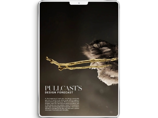 Previsioni di design di Pullcast