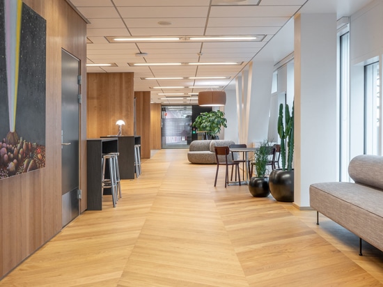 Dennebos Pavimenti ingegnerizzati di prima scelta Chevron in colore N.09
