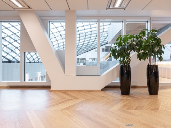 Dennebos Pavimenti ingegnerizzati di prima scelta Chevron in colore N.09