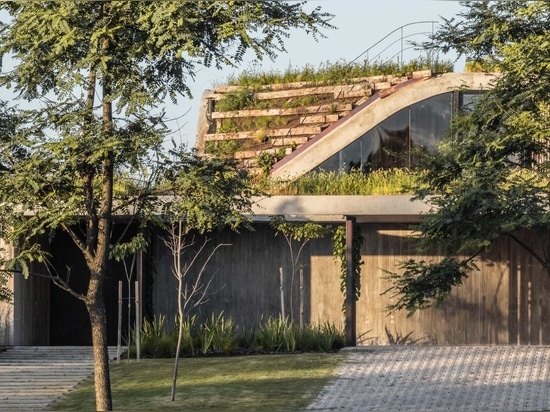 Una casa che si erge dal terreno formando un giardino a tre livelli
