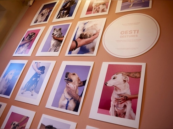 Labilla é al Pitti Uomo e Pitti Bimbo 2024