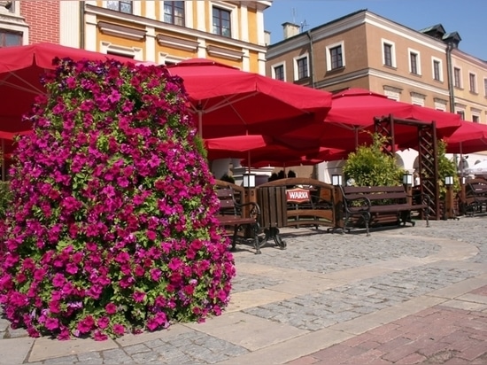 Torri floreali: Giardini verticali che ridefiniscono gli spazi verdi urbani