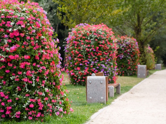Torri floreali: Giardini verticali che ridefiniscono gli spazi verdi urbani