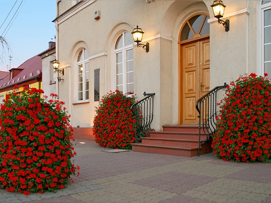 Torri floreali: Giardini verticali che ridefiniscono gli spazi verdi urbani