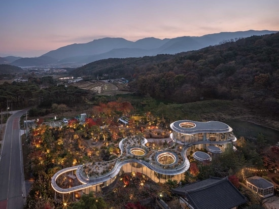 Un nuovo caffè in Corea del Sud che si ispira a una passeggiata nella natura