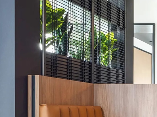 In questo spazio di coworking la rete metallica saldata Banker WDZ-539 funge da traliccio.