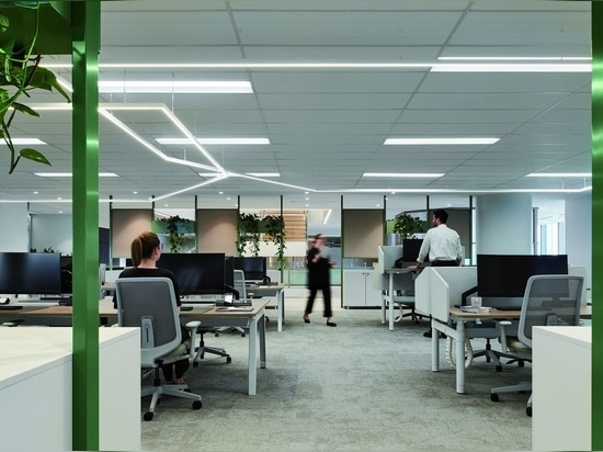 Deloitte Adelaide di Woods Bagot