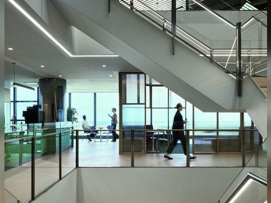 Deloitte Adelaide di Woods Bagot