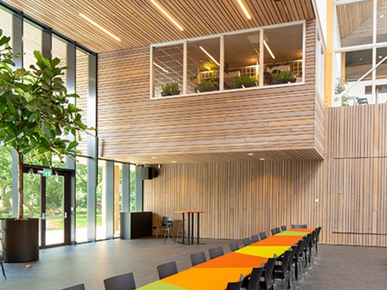 Collegio Koning Willem II, Rotterdam