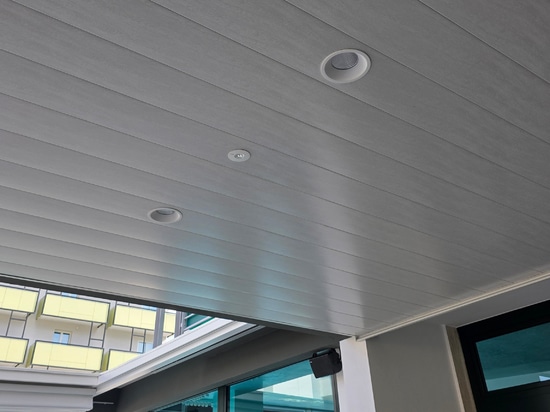 Doghe Atena Linear