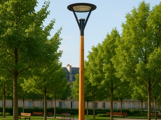 Palo rotondo in legno per l'illuminazione stradale