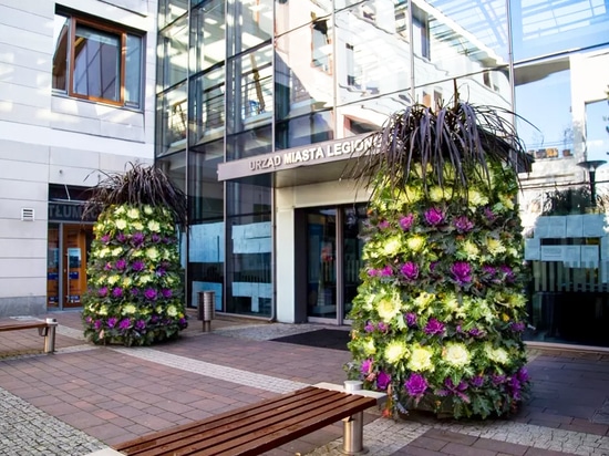 Tendenza autunnale: torri di fiori piantate con cavoli ornamentali