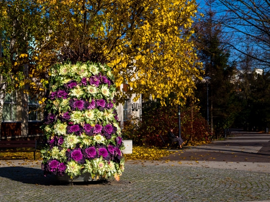 Tendenza autunnale: torri di fiori piantate con cavoli ornamentali
