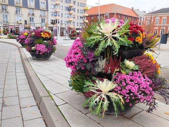 Tendenza autunnale: torri di fiori piantate con cavoli ornamentali
