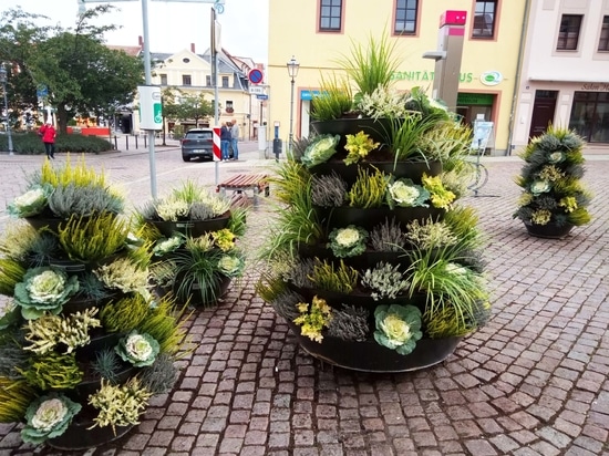 Tendenza autunnale: torri di fiori piantate con cavoli ornamentali