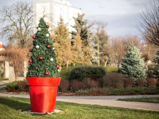 L'albero di Natale: un must nei centri urbani
