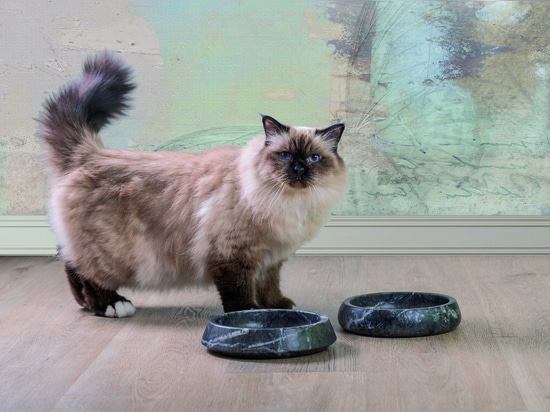 Accessori, , ciotole, cucce di design per pet Labilla