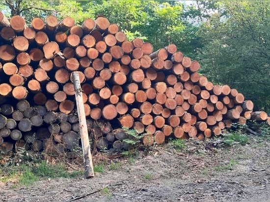 Protezione delle coste e progettazione del paesaggio: Eccellenza Douglas di Woodspars