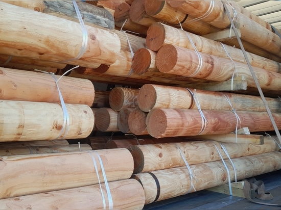 Protezione delle coste e progettazione del paesaggio: Eccellenza Douglas di Woodspars