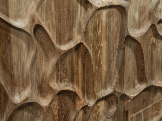 Studi Wonderwall - Dune Teak