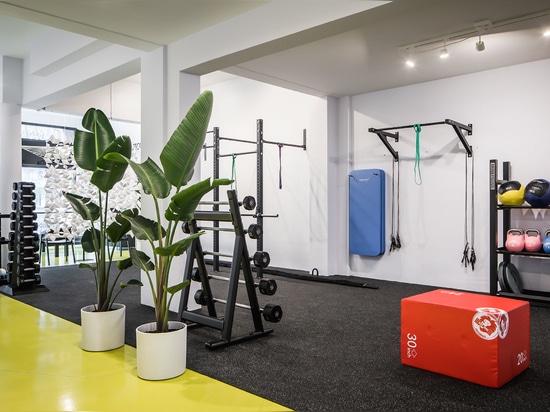 Schermi divisori su misura Bloomming per Workoutclub Rotterdam