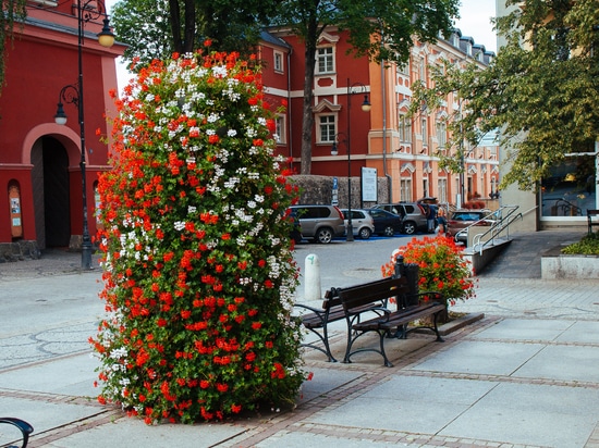 Il design emozionale negli spazi pubblici: dare forma all'esperienza urbana quotidiana