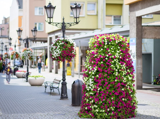 Torri di fiori nello spazio urbano: verde stagionale di forte impatto visivo
