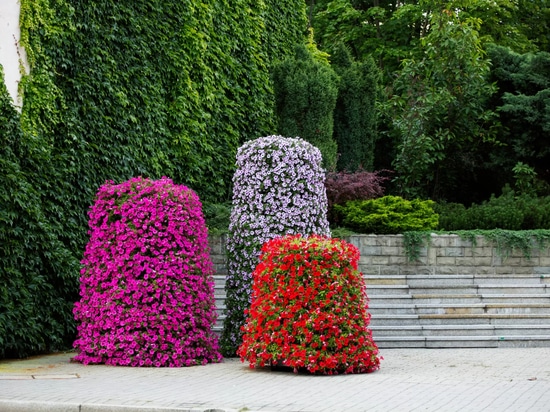 Torri di fiori nello spazio urbano: verde stagionale di forte impatto visivo