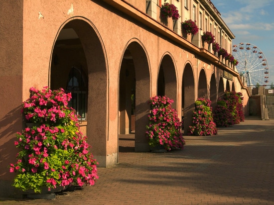 Torri di fiori nello spazio urbano: verde stagionale di forte impatto visivo