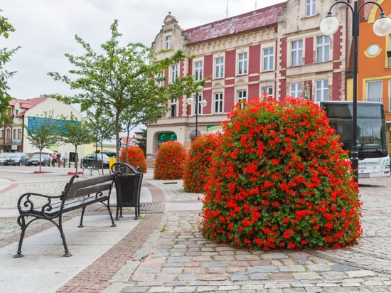 Torri di fiori nello spazio urbano: verde stagionale di forte impatto visivo